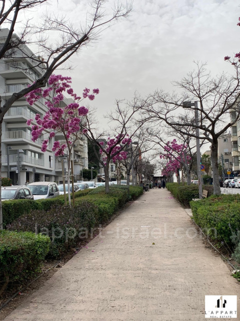appartement Tel Aviv